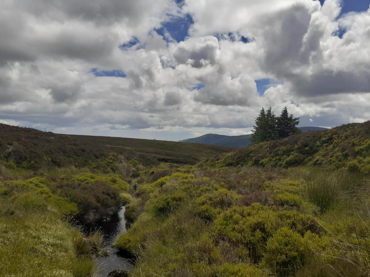 Ensuite At The Foot Of Dublin Mountains Bagian luar foto